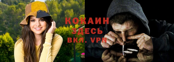 ALPHA-PVP Гусев