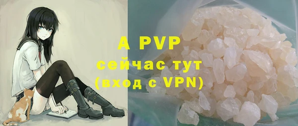гидра Гусь-Хрустальный