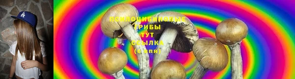 прущая мука Гусиноозёрск