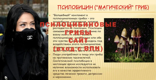гидра Гусь-Хрустальный