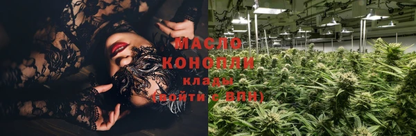 гидра Гусь-Хрустальный
