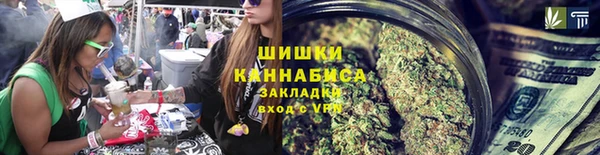 гидра Гусь-Хрустальный